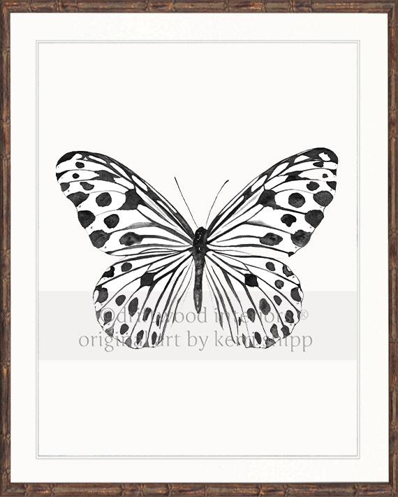 Black and White Spotted Butterfly