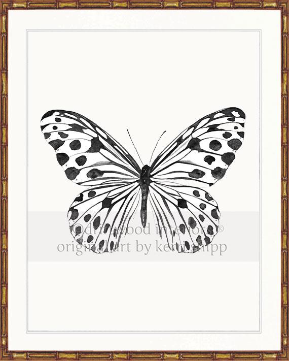 Black and White Spotted Butterfly