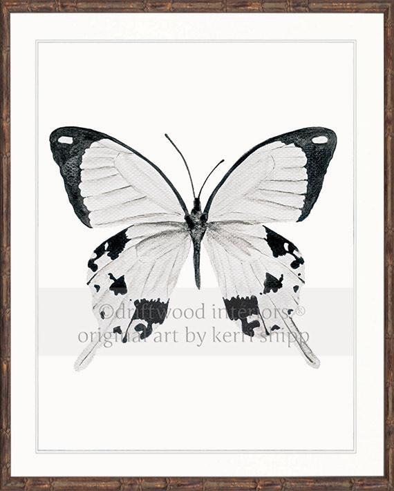Butterfly in Black and White - &quot;The Monarchist&quot;