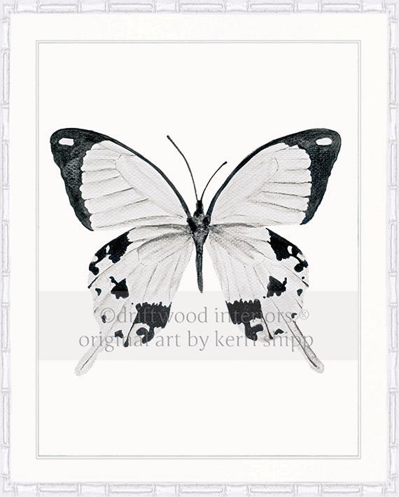Butterfly in Black and White - &quot;The Monarchist&quot;