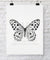 Black and White Spotted Butterfly - Driftwood Interiors