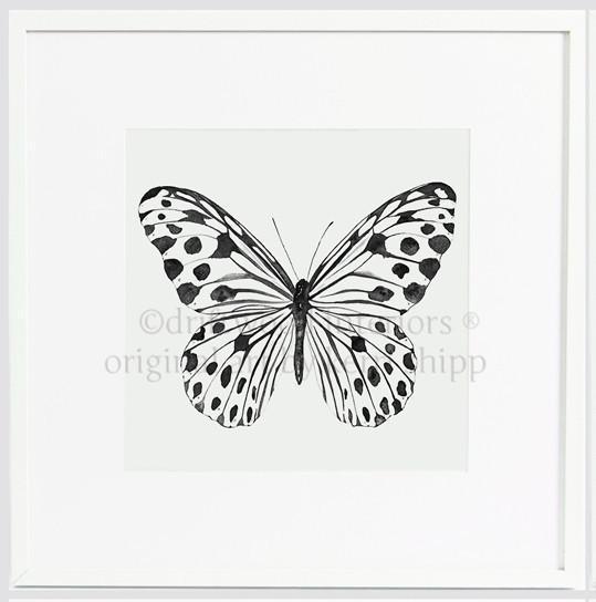Black and White Spotted Butterfly - Driftwood Interiors