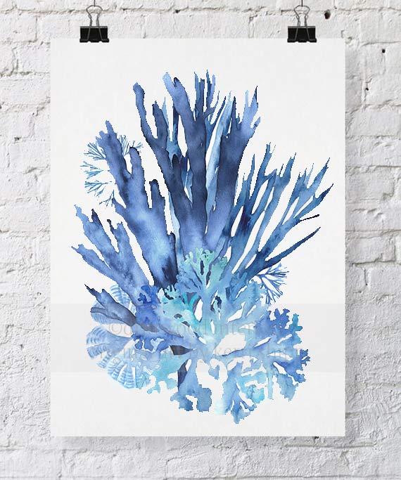 Coral Wall Art Print - Seaweed Collage I in Blue - Driftwood Interiors
