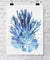 Coral Wall Art Print - Seaweed Collage I in Blue - Driftwood Interiors