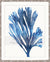 Blue Seaweed Print - Seaweed Illusion I - Driftwood Interiors