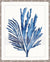 Blue Seaweed Print - Seaweed Illusion III - Driftwood Interiors