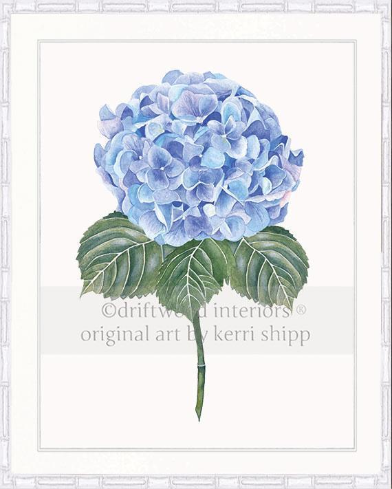 Flower Art Print - Blue Hydrangea I - Driftwood Interiors