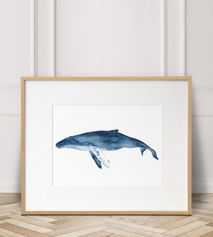 Blue Whale Watercolour Print - Driftwood Interiors