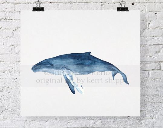 Blue Whale Watercolour Print - Driftwood Interiors