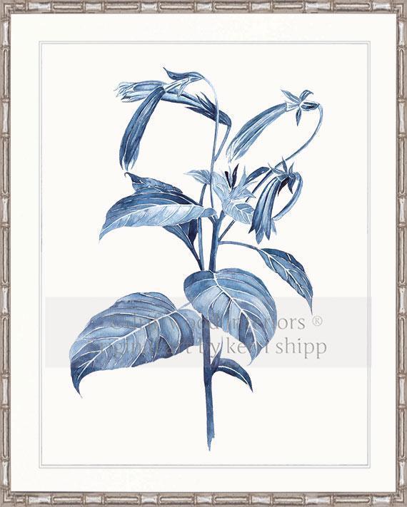 Botanical Wall Art Print - Botanical Study III in Pale Blue - Driftwood Interiors