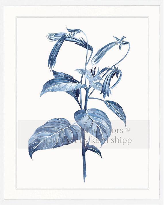 Botanical Wall Art Print - Botanical Study III in Pale Blue - Driftwood Interiors