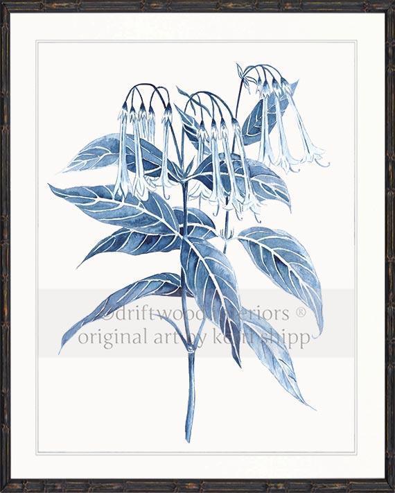 Botanical Wall Art Prints - Botanical Study II in Pale Blue - Driftwood Interiors