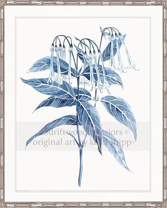 Botanical Wall Art Prints - Botanical Study II in Pale Blue - Driftwood Interiors