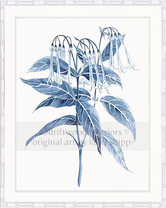 Botanical Wall Art Prints - Botanical Study II in Pale Blue - Driftwood Interiors