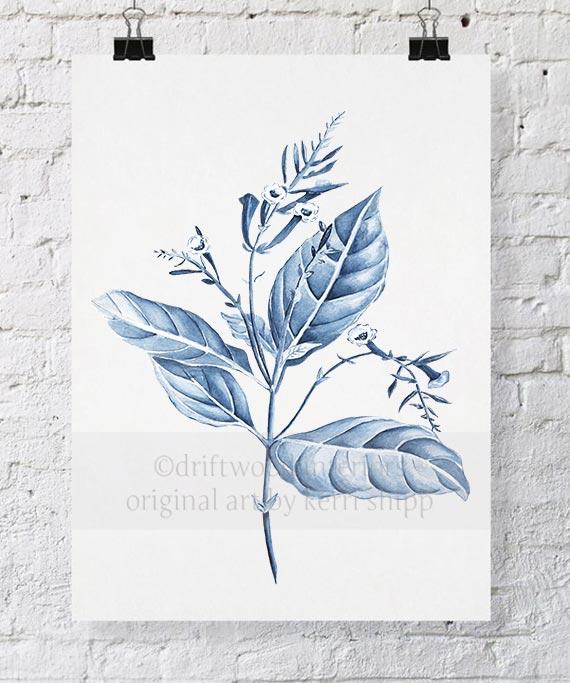 Botanical Wall Art Prints - Botanical Study I in Blue - Driftwood Interiors