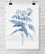 Botanical Wall Art Prints - Botanical Study II in Pale Blue - Driftwood Interiors