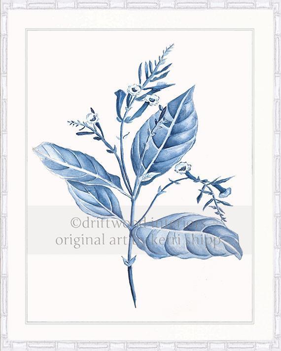 Botanical Wall Art Prints - Botanical Study I in Blue - Driftwood Interiors