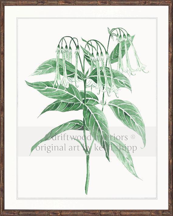 Botanical Wall Art Print - Botanical Study II in Green - Driftwood Interiors