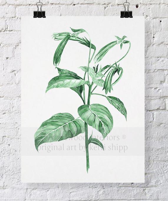 Botanical Wall Art Print - Botanical Study III in Green - Driftwood Interiors