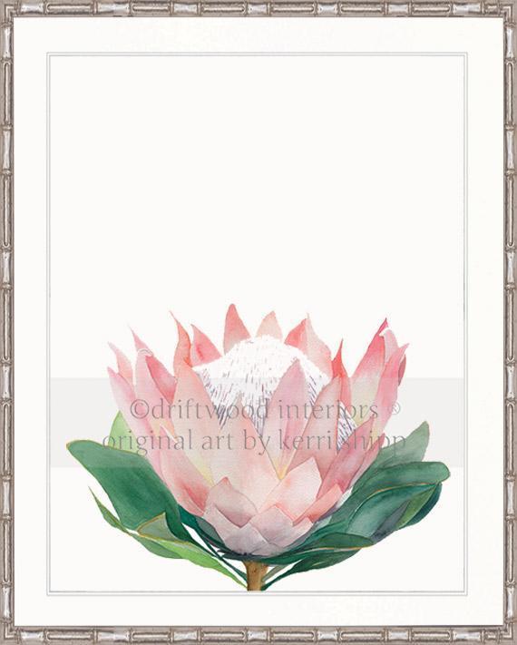 Pink Protea I - Driftwood Interiors