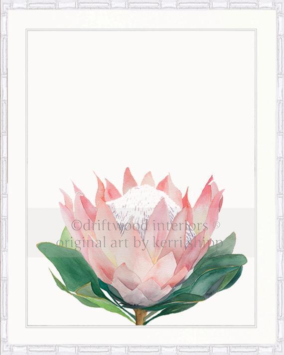 Pink Protea I - Driftwood Interiors