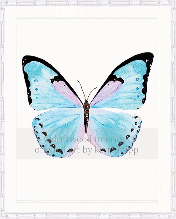 Butterfly in Aqua - &quot;Petit Papillon&quot;