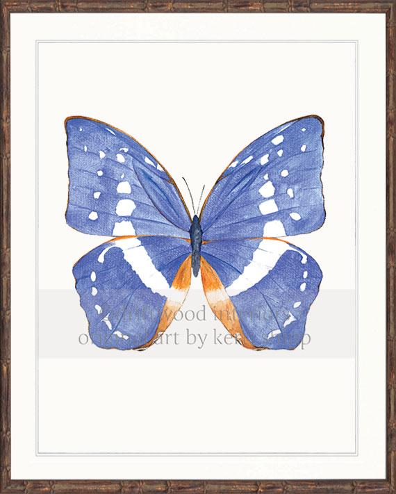 Butterfly in Cobalt