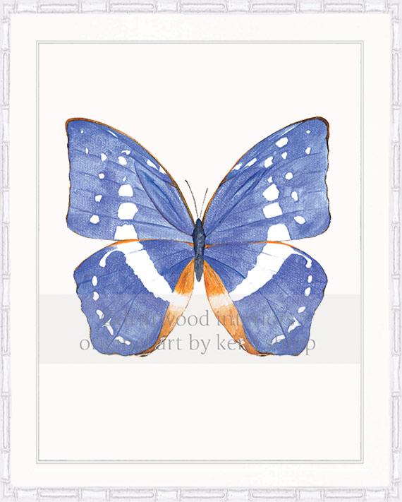 Butterfly in Cobalt