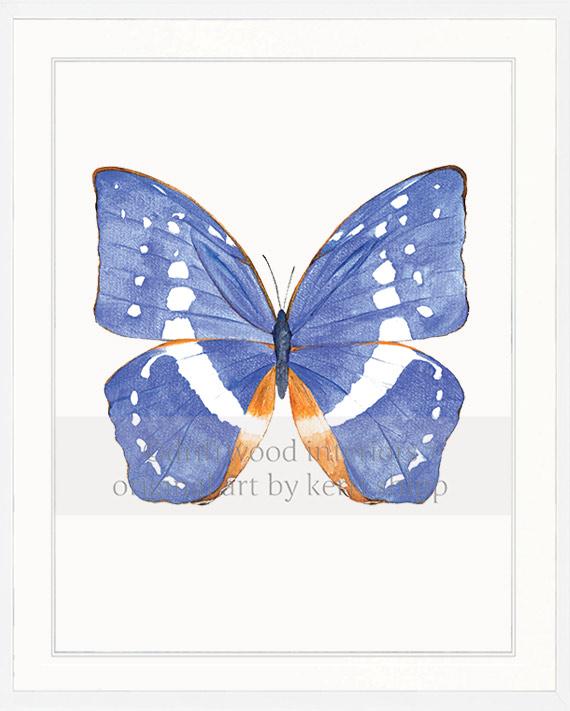 Butterfly in Cobalt