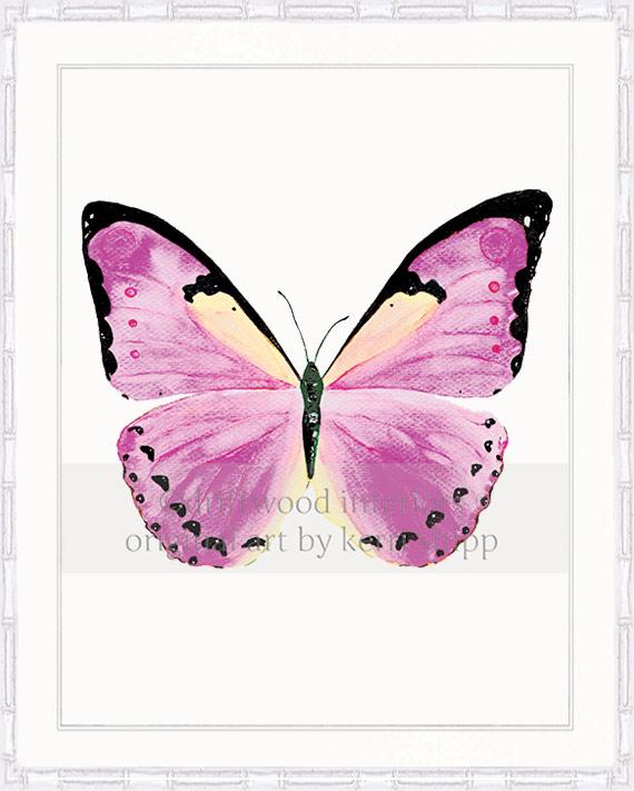 Butterfly Art in Rose Pink in white bamboo frame - Driftwood Interiors