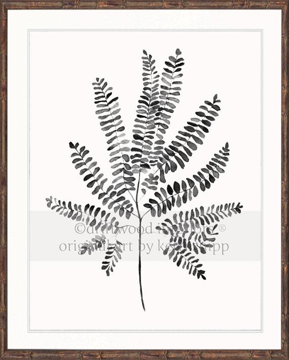 Charcoal Foliage I