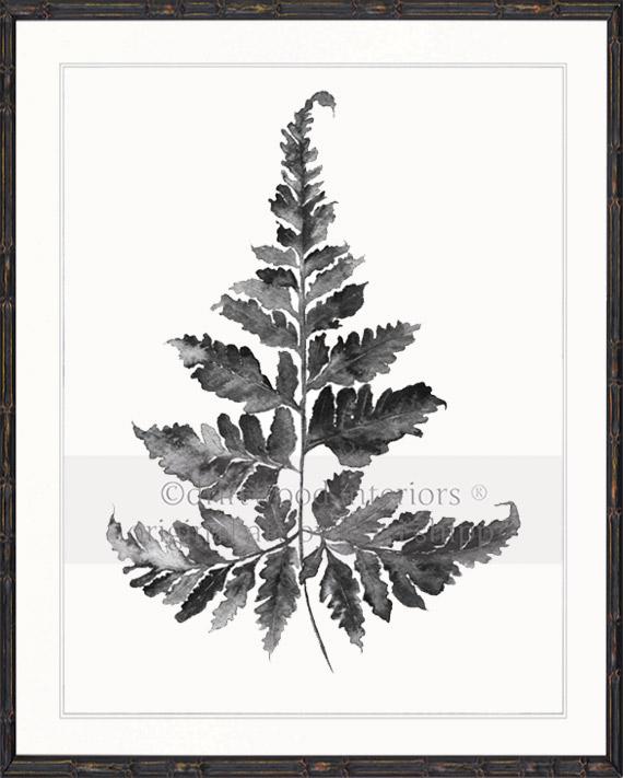 Charcoal Foliage II