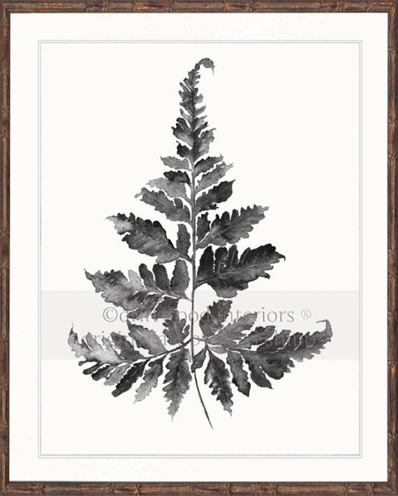 Charcoal Foliage II