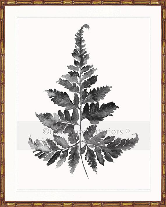 Charcoal Foliage II