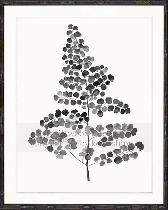 Charcoal Foliage III