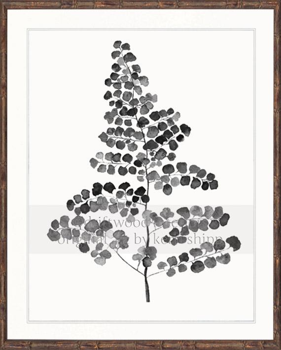 Charcoal Foliage III