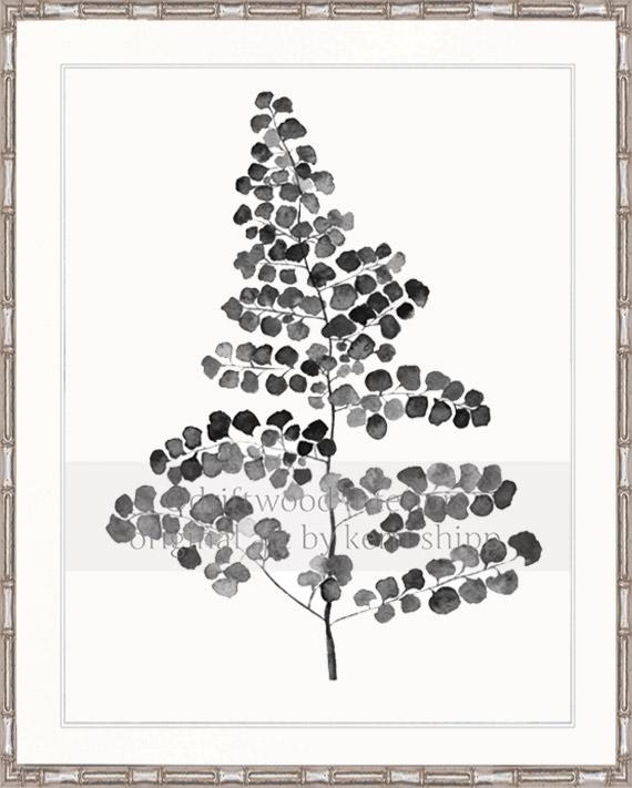 Charcoal Foliage III