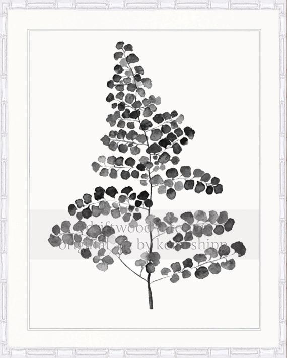 Charcoal Foliage III