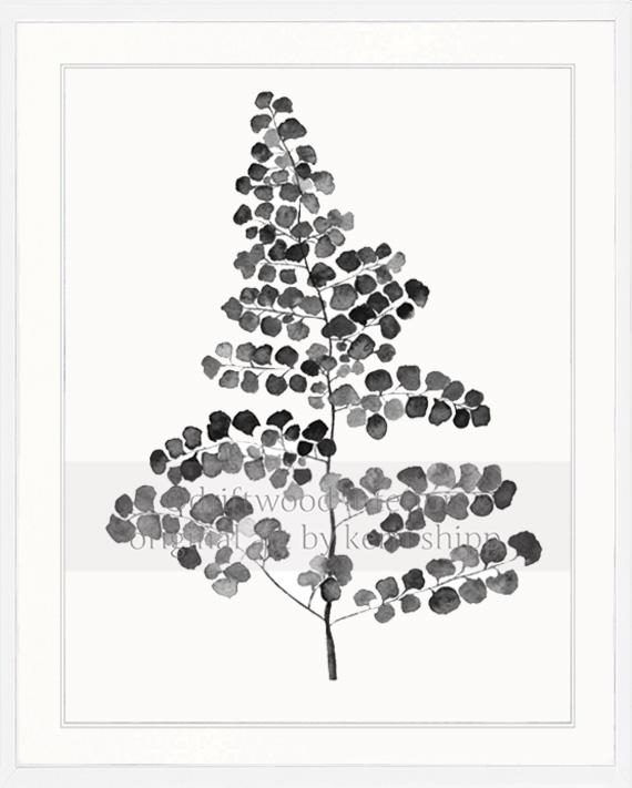 Charcoal Foliage III