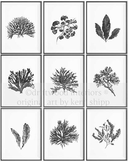 Seaweed in Charcoal - Driftwood Interiors