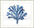 Designer Boys Art - Oceanic Coral I in Indigo Blue in silver bamboo frame - Driftwood Interiors 