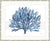 blue coral wall art print silver bamboo frame by kerri shipp driftwood interiors