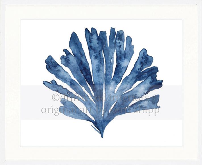 Designer Boys Art - Oceanic Coral II in Indigo Blue in white timber frame - Driftwood Interiors 