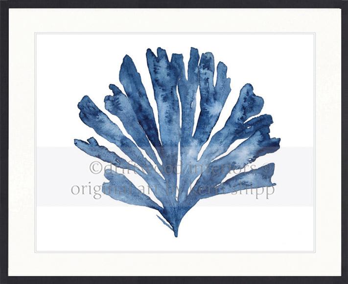 Designer Boys Art - Oceanic Coral II in Indigo Blue in black timber frame - Driftwood Interiors 