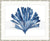 Designer Boys Art - Oceanic Coral II in Indigo Blue in silver bamboo frame - Driftwood Interiors 