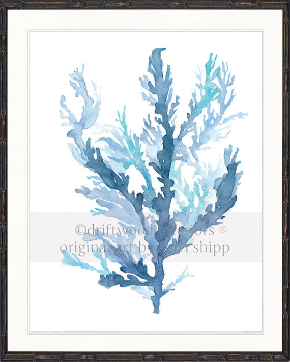 Designer boys wall art print - Pastel Seaweed II in black bamboo frame - Driftwood Interiors 