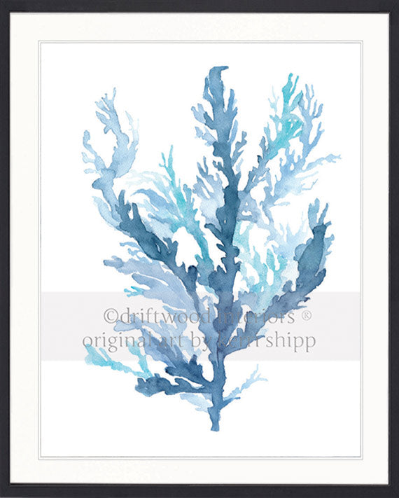 Designer boys wall art print - Pastel Seaweed II in black timber frame - Driftwood Interiors 