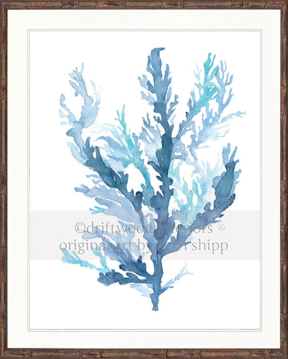 Designer boys wall art print - Pastel Seaweed II in brown bamboo frame - Driftwood Interiors 