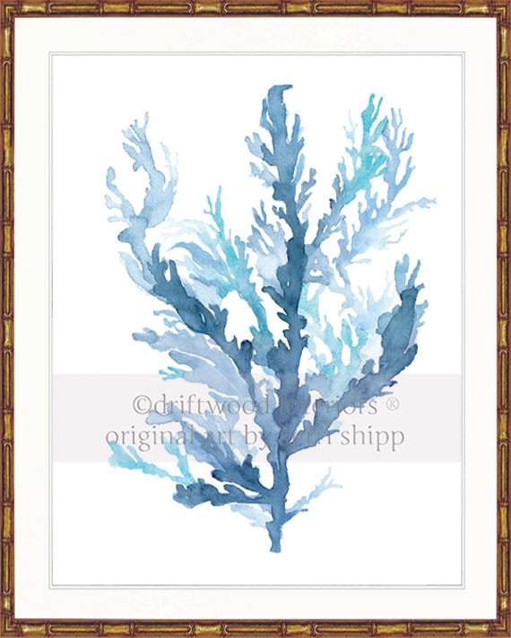 Designer boys wall art print - Pastel Seaweed II in gold bamboo frame - Driftwood Interiors 
