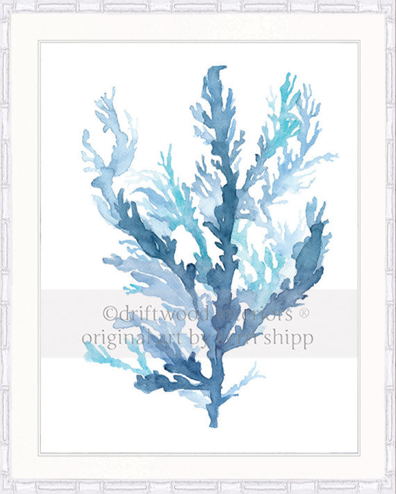 Designer boys wall art print - Pastel Seaweed II in white bamboo frame - Driftwood Interiors 